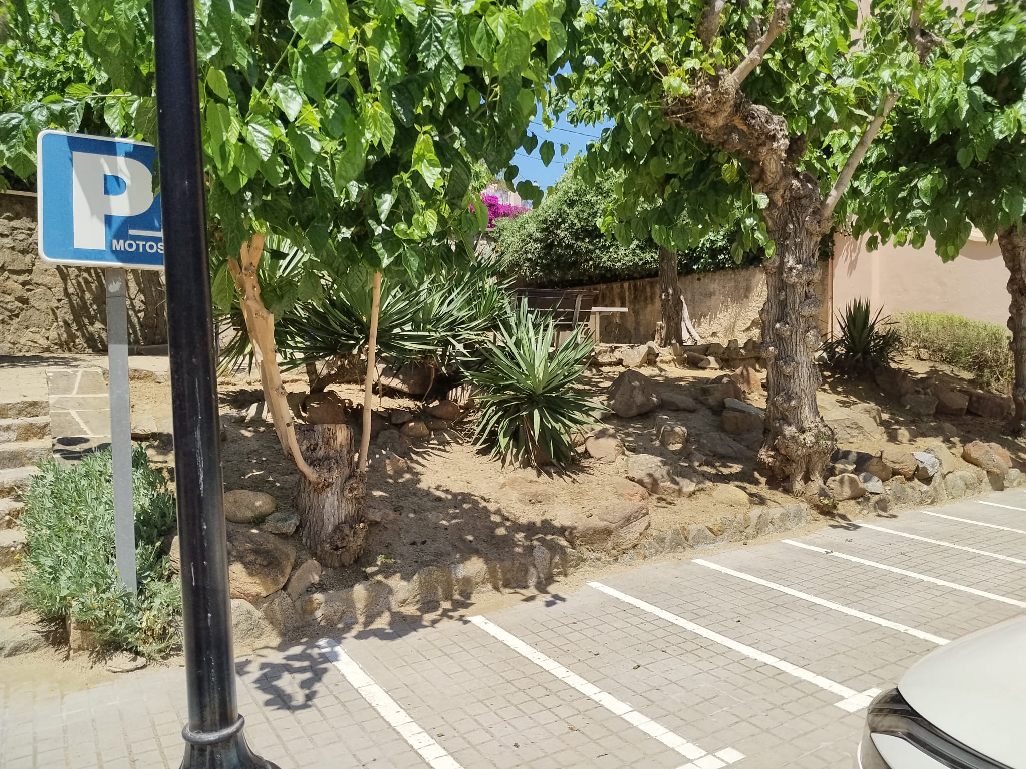 Via p�blica estiu 2026 - Foto 87239267