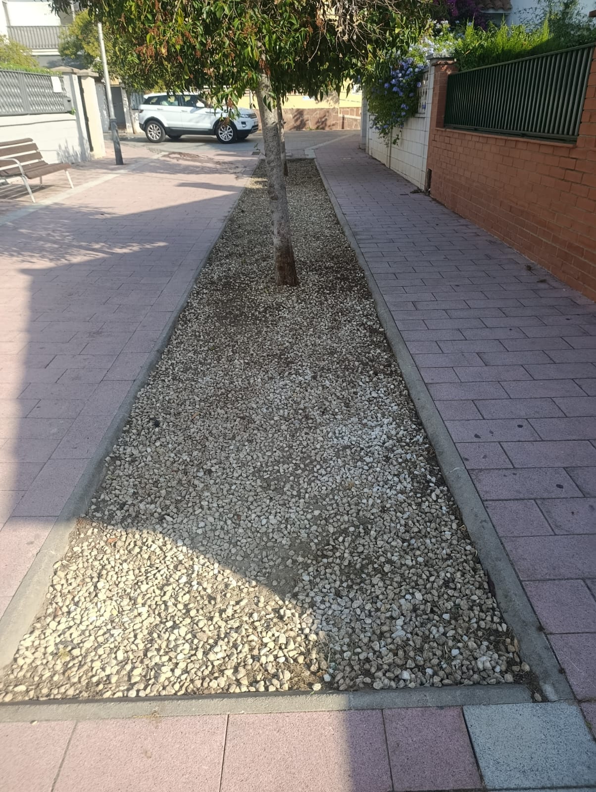 Via p�blica estiu 2026 - Foto 26400662