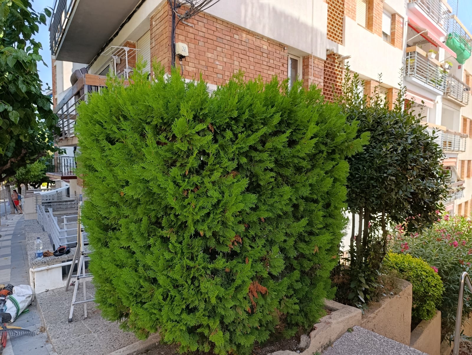 Via p�blica estiu 2026 - Foto 87377336