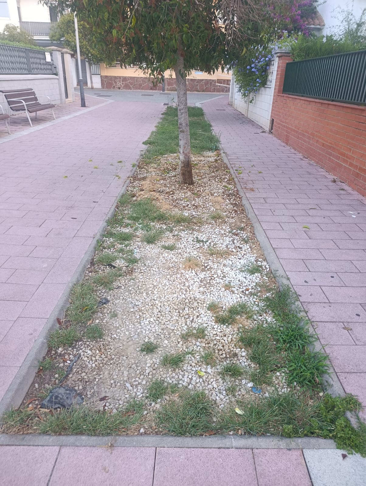 Via p�blica estiu 2026 - Foto 77848001