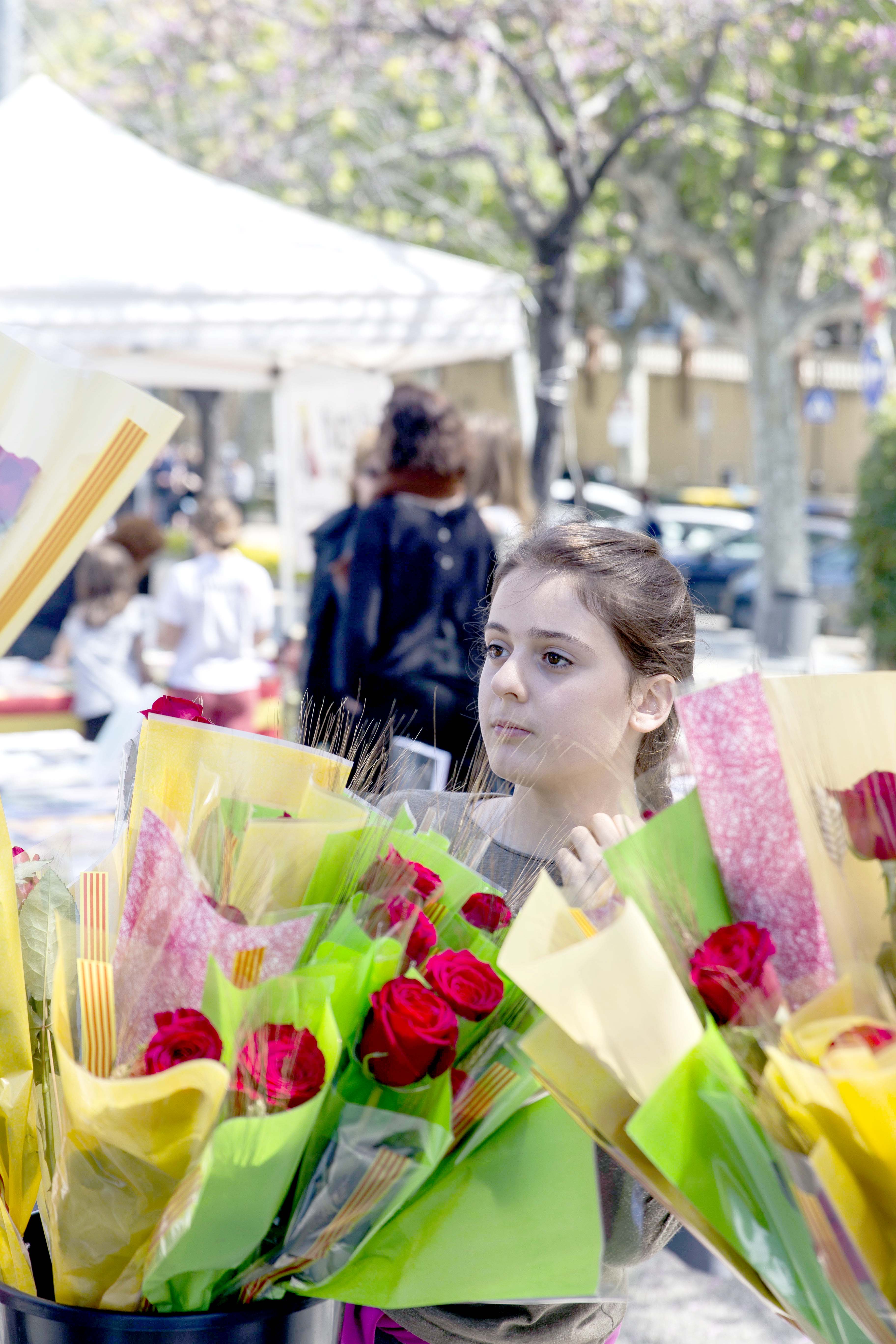 Sant Jordi 2016: literatura i roses amb les entitats m�s emblem�tiques de la vila - Foto 29622735