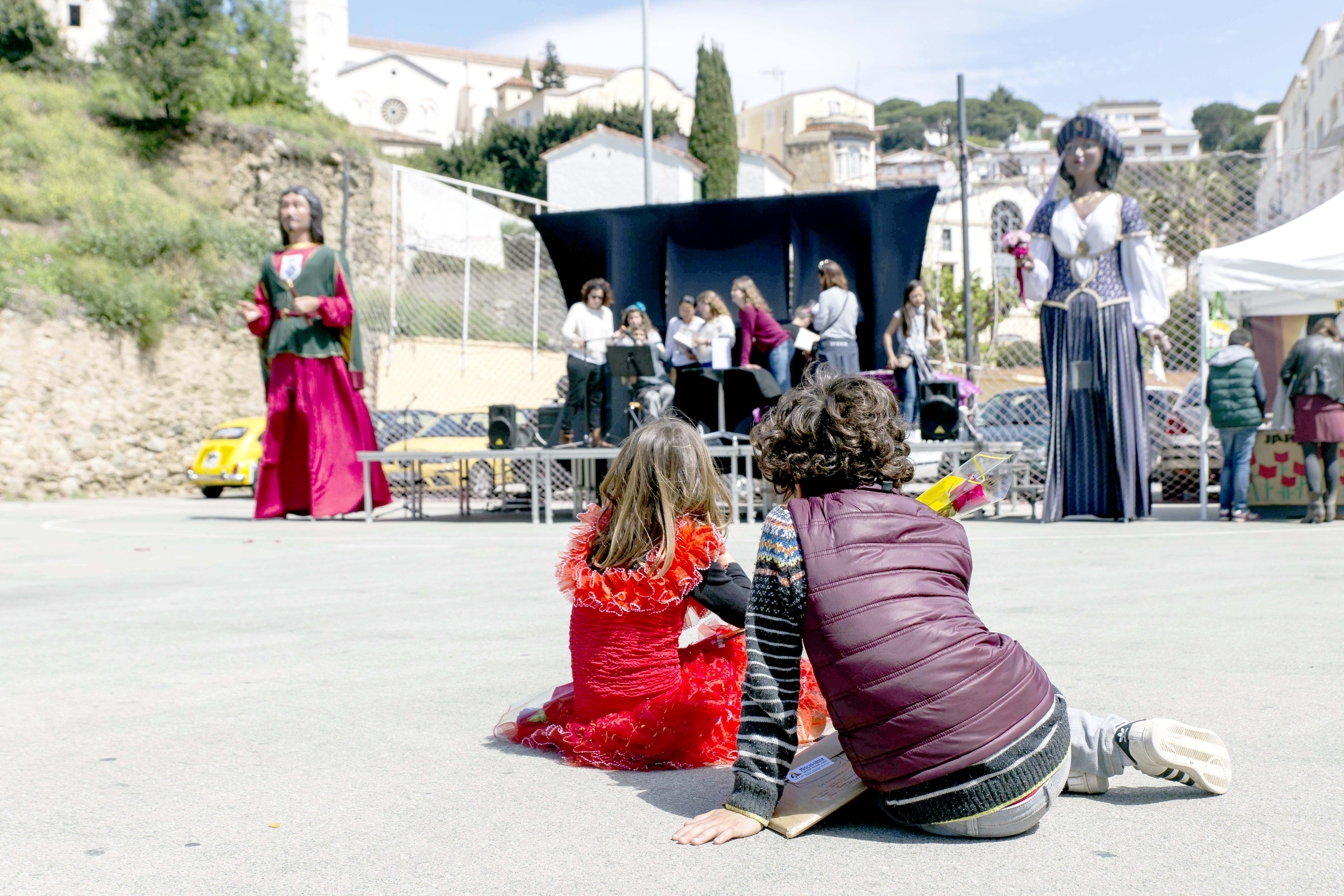 Sant Jordi 2016: literatura i roses amb les entitats m�s emblem�tiques de la vila - Foto 13287140