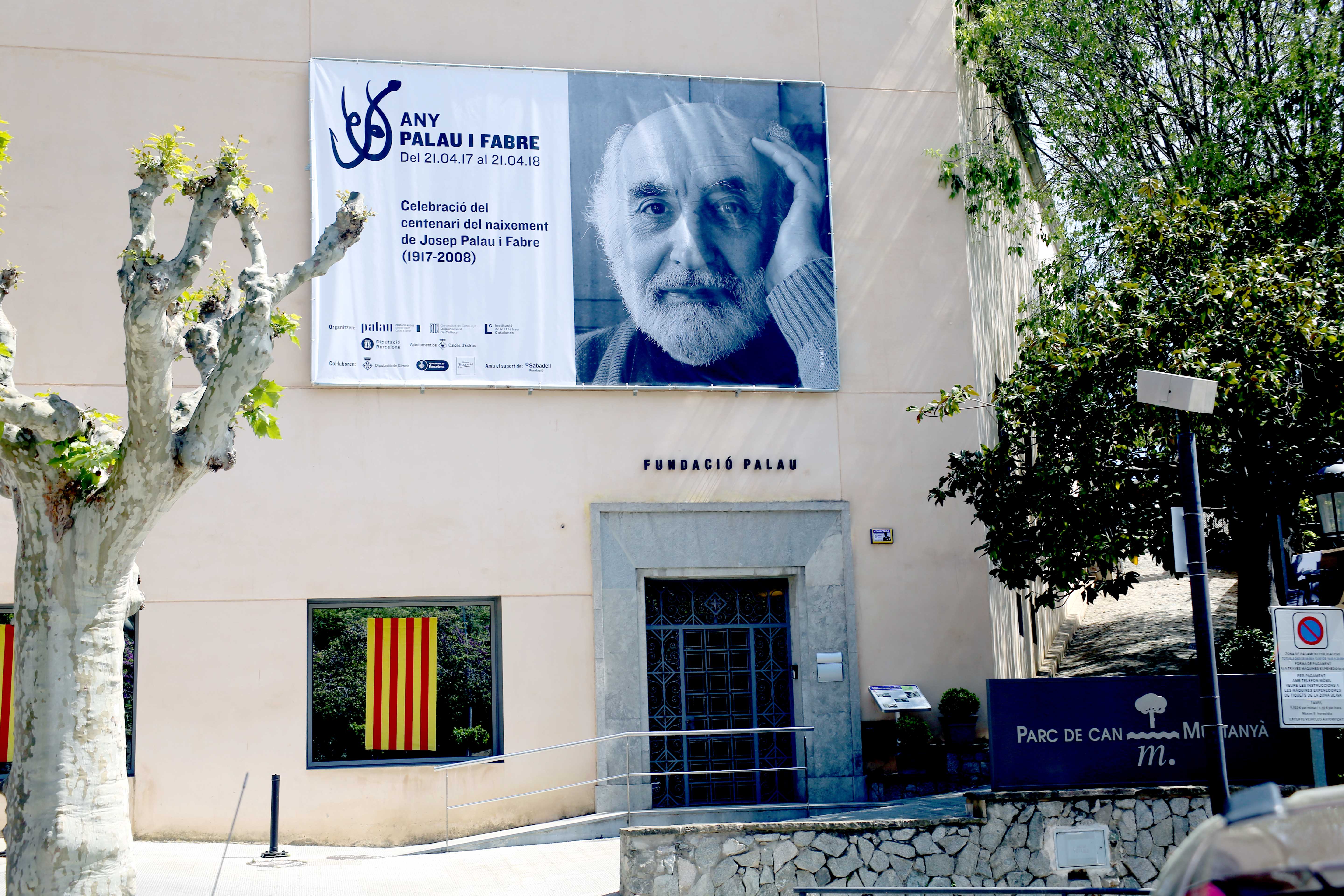 Sant Jordi 2017 - Foto 19835979