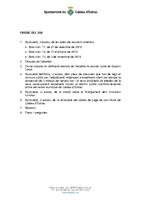 ple ordinari 29 nov 2010