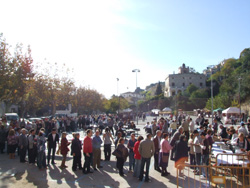 mongetada 2009