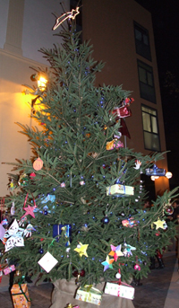 arbre nadal santa llucia
