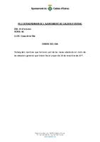 Ple extraordinari 25 d'octubre de 2011