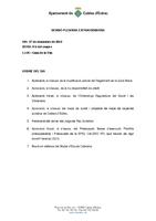 Ple Extraordinari 27 desembre 2012