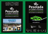 D&iacute;ptic 18a Pesolada