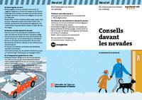 Consells davant nevades