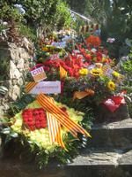 diada-ofrenafloral-general