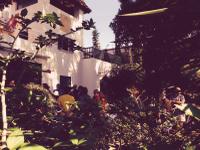 caldesdestrac-estiueig-selowyla