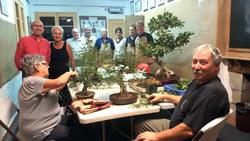 Amics-del-Bonsai-Caldesdestrac