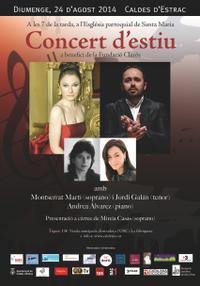 cartell concert estiu 2014