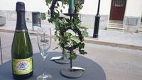 brindis festa major 2014