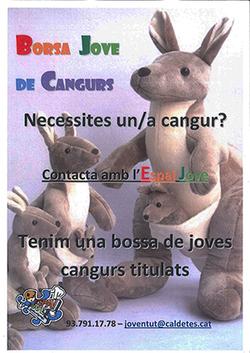 cartell borsa jove cangurs