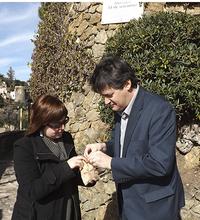 recollida sorra roure 300