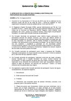 150810 creaci&oacute; dels consells sectorials de participaci&oacute;
