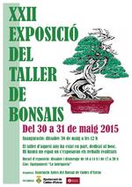 bonsais