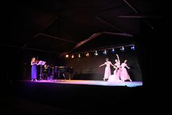 150725_w_dansa_violi_ballarins_figura