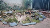 Pessebre Amics dels Bonsais