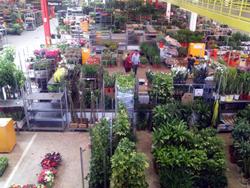 150917_Mercat_flors_fent_camins