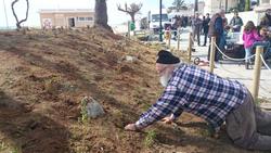 festa primavera-francesc-planta