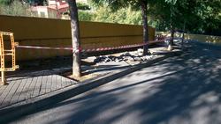 carrer torrenovaa
