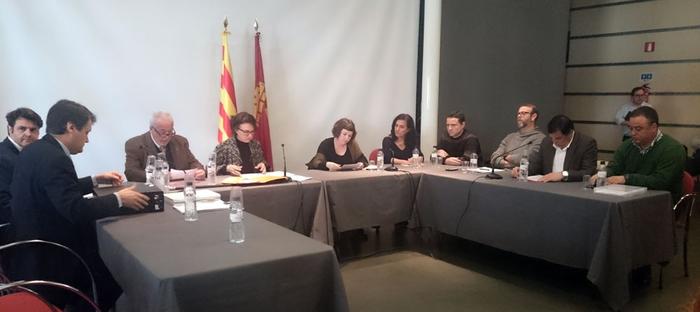 Rosa Pou va ser escollida Alcaldessa durant el ple celebrat el 23 de gener. Imatge d'arxiu