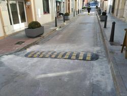 Cam&iacute; Ral