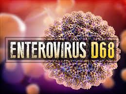 enterovirus.jpg