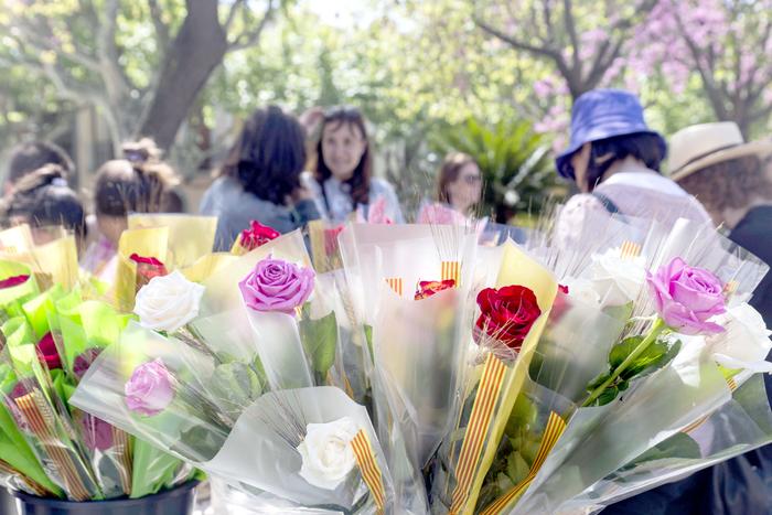 Sant Jordi 2016 Fotografia: Marta Huertas