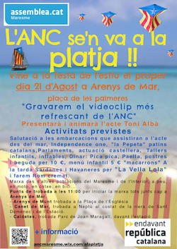 20160821_festa_platja_palmeres