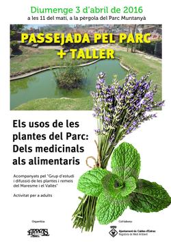 160403_arrels_muntanya