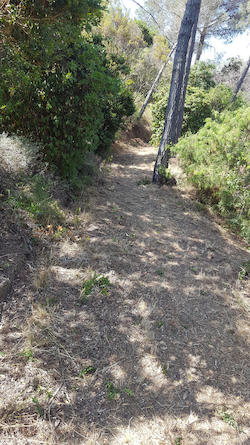 160701_fentcamins_parcmuntanya_cami