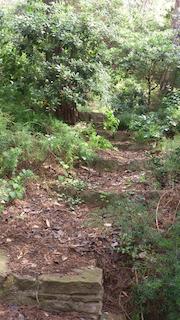 160831_camins_ab_14.