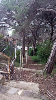 160831_camins_ab_9.