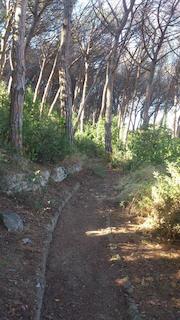160831_camins_post_7