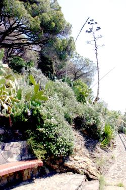 160424_pins_parc_muntanya