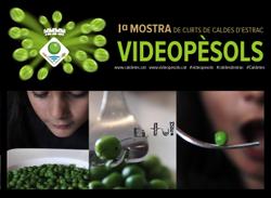 PosterVideopesols_sense_data