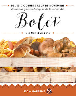 161023_bolet16.
