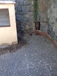 160823_civisme_carrer