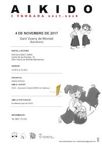 171104_aikidotrobadainfantil