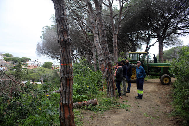 170305_parcmuntanya_actuacio_a.jpg