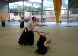 Festa Major 2017 - Curs Aikido