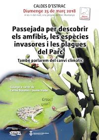 cartell_amfibis