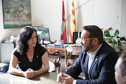 Visita delegat