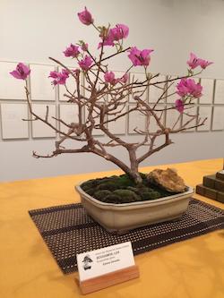 Festa Major petita 19