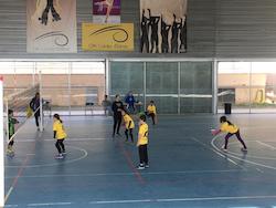 volei