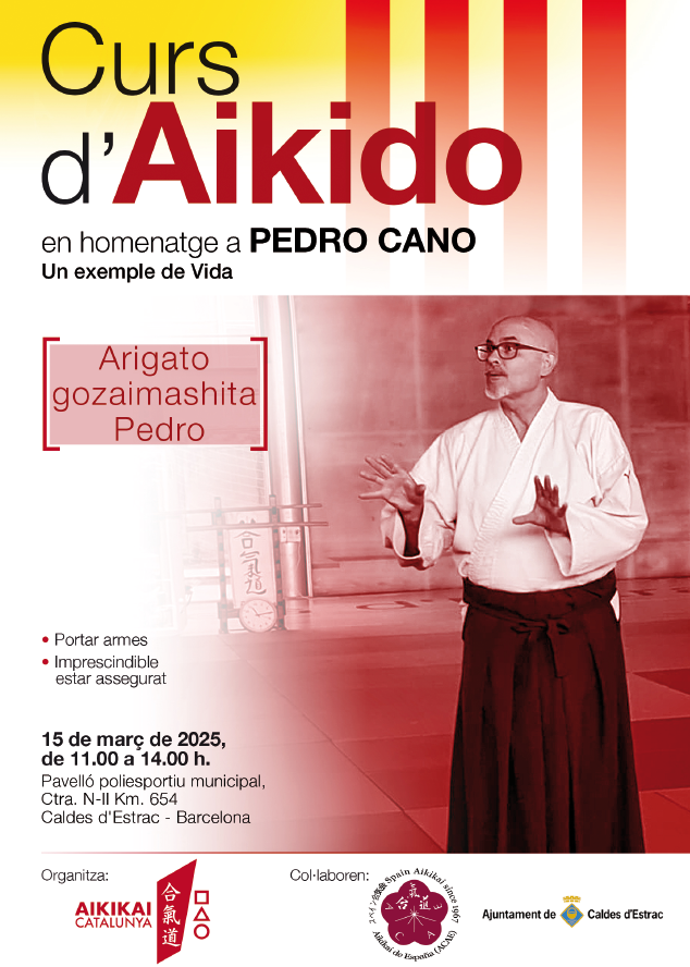 curs aikido